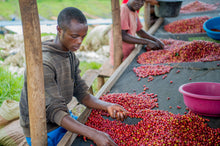 Afbeelding in Gallery-weergave laden, RWANDA Nyamiyaga ESP