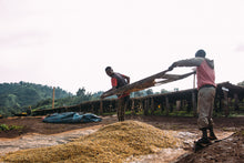 Afbeelding in Gallery-weergave laden, ETHIOPIA Suke Quto farm FIL