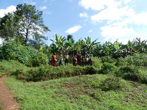 BURUNDI Rama FIL