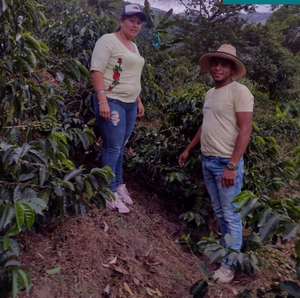 COLOMBIA La Campiña ESP