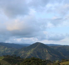 Afbeelding in Gallery-weergave laden, COLOMBIA La Campiña ESP