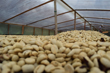 Afbeelding in Gallery-weergave laden, COLOMBIA Tumbaga FIL Decaf